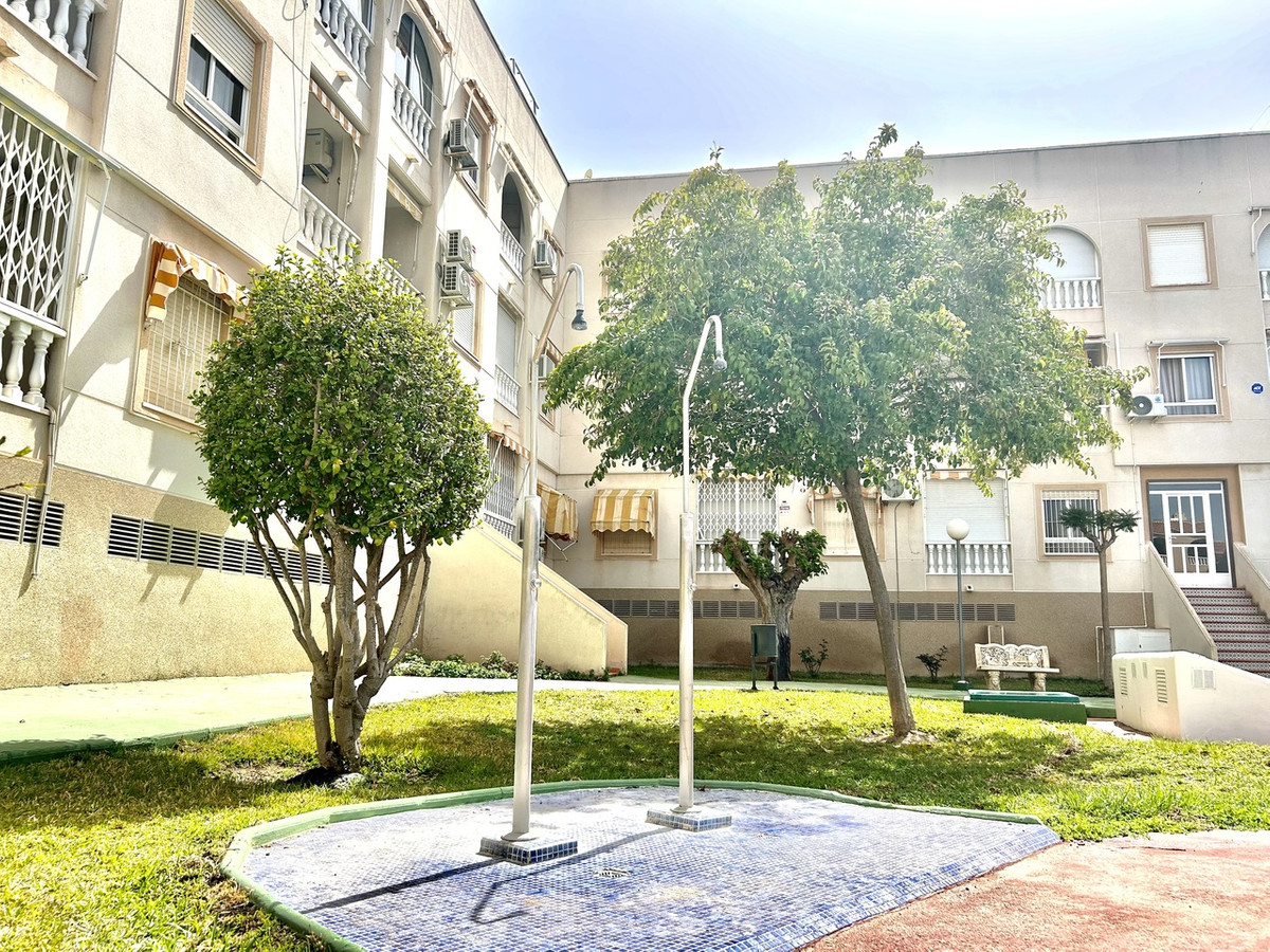 For sale - 2 Bedroom 1 Bathroom Apartment - Ground Floor Apartment in Torrevieja - Torrevieja Centro  - Alicante