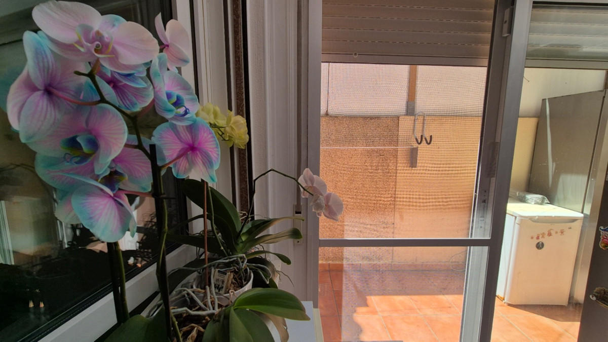 For sale - 3 Bedroom 2 Bathroom House - Townhouse in Torrevieja - Torrevieja Centro  - Alicante