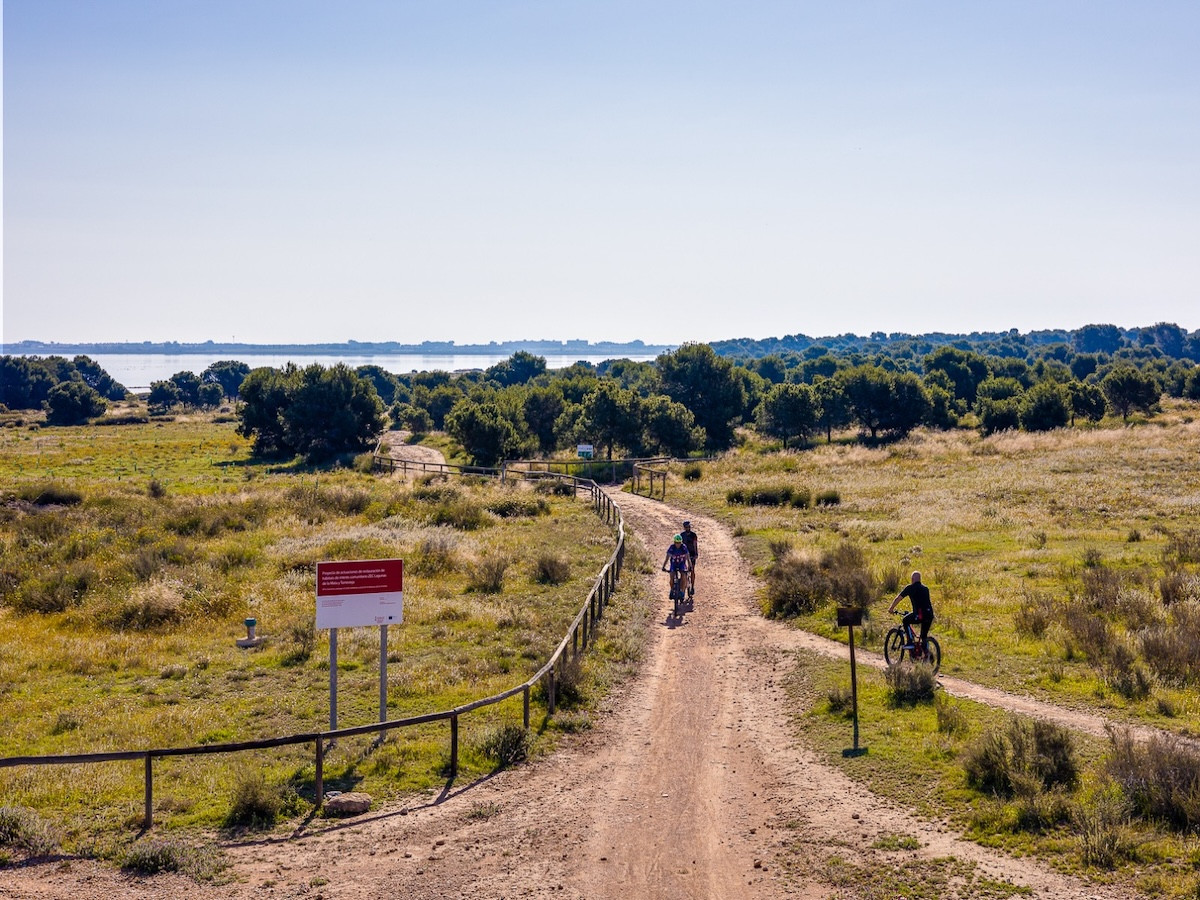 For sale - 2 Bedroom 2 Bathroom Townhouse in Torrevieja - Torrevieja - Alicante