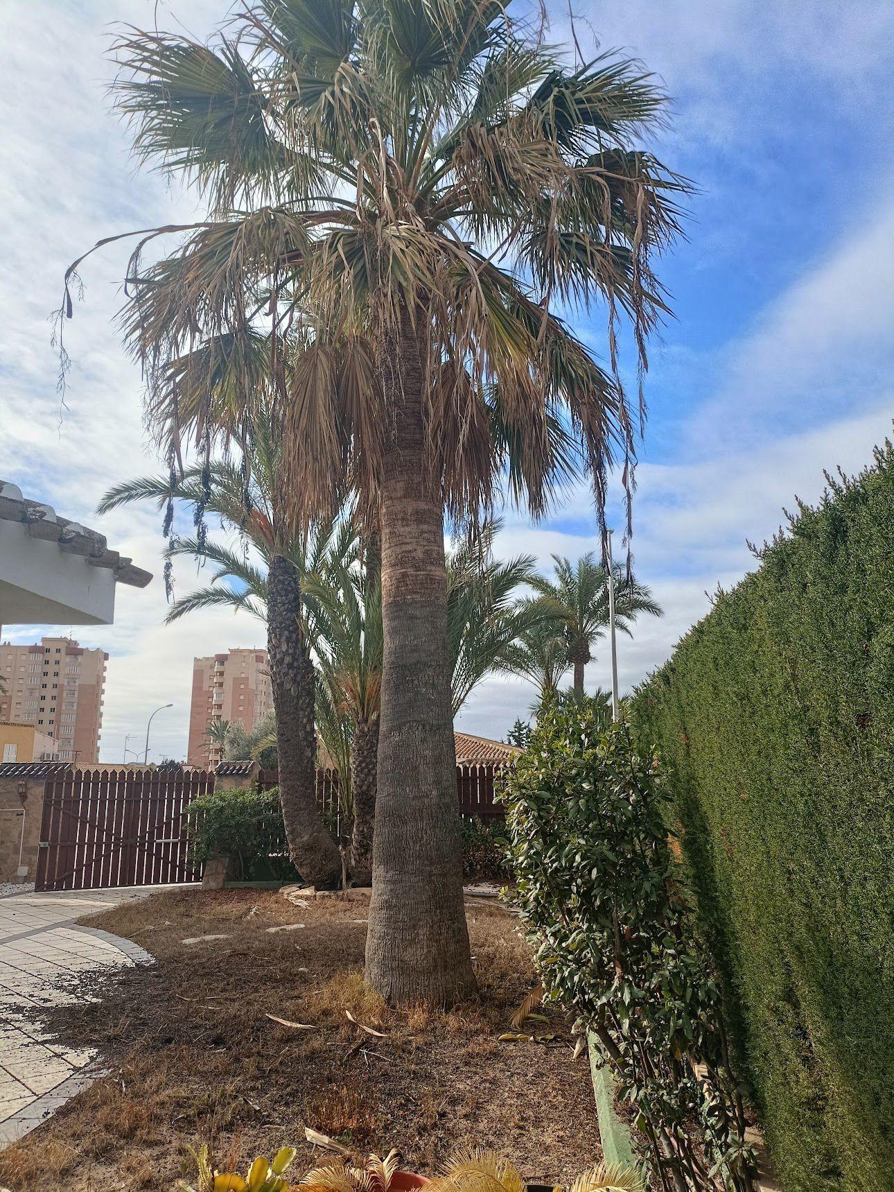 For sale - 4 Bedroom 3 Bathroom Villa in Orihuela Costa - Campoamor  - Alicante