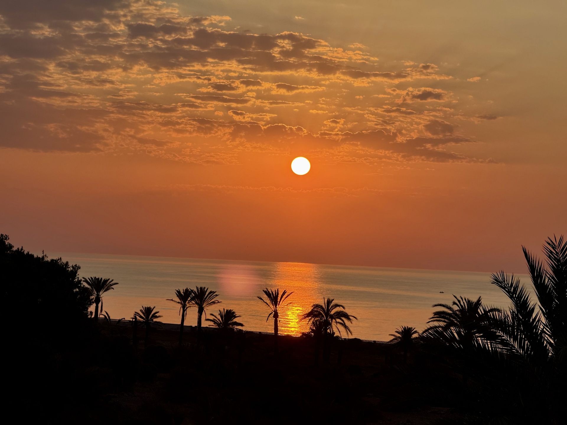 For sale - 3 Bedroom 2 Bathroom Penthouse in San Miguel de Salinas - Inland  - Alicante