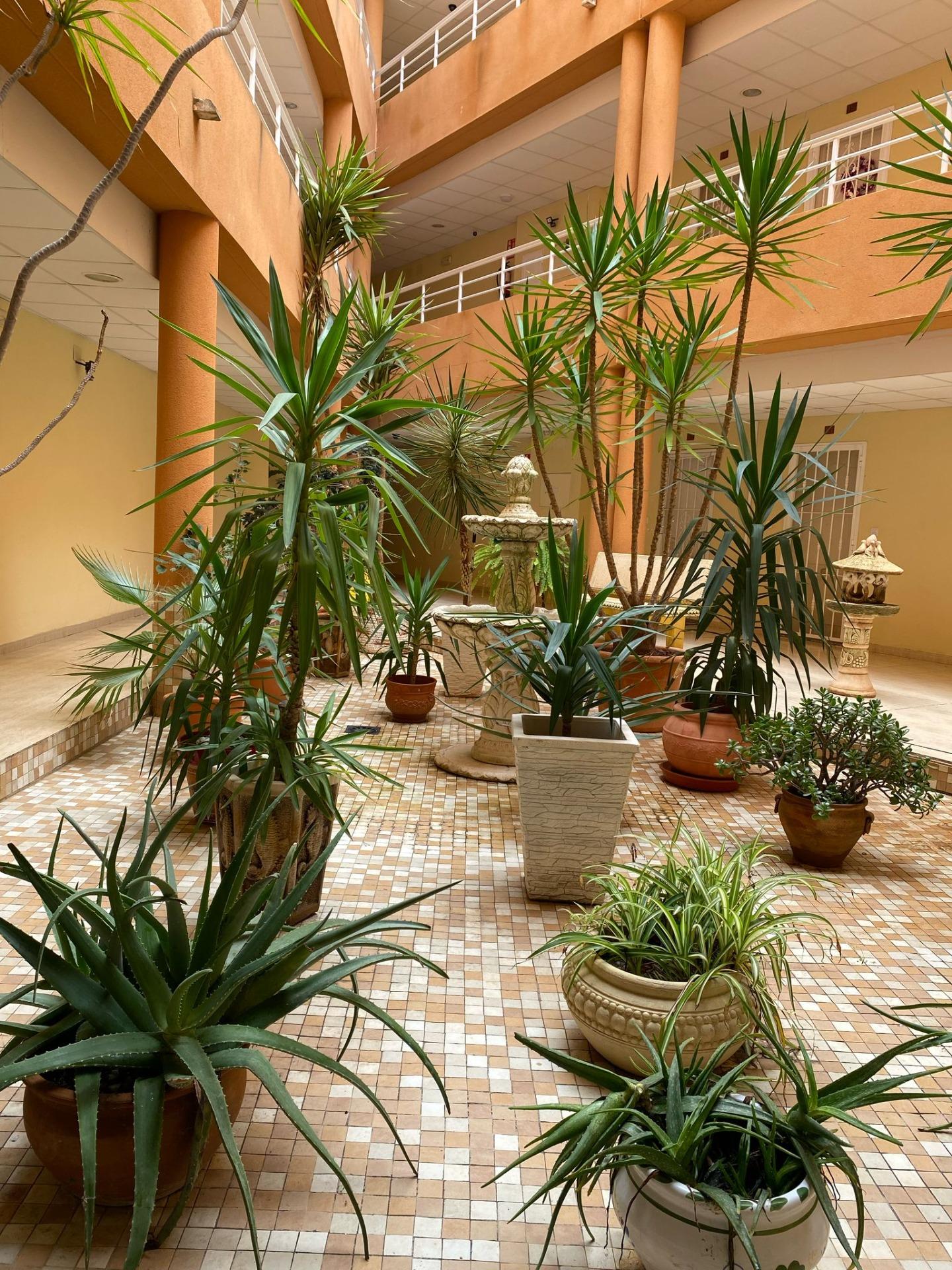 For sale - 2 Bedroom 2 Bathroom Apartment in San Miguel de Salinas - Pueblo 9  - Alicante