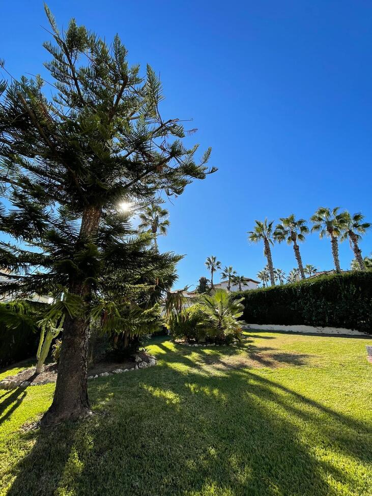 For sale - 3 Bedroom 3 Bathroom Villa in Villamartin - Costa Blanca  - Alicante