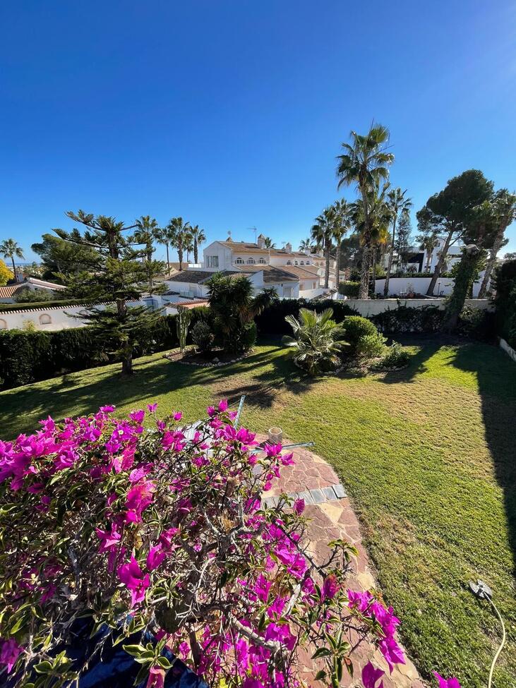 For sale - 3 Bedroom 3 Bathroom Villa in Villamartin - Costa Blanca  - Alicante