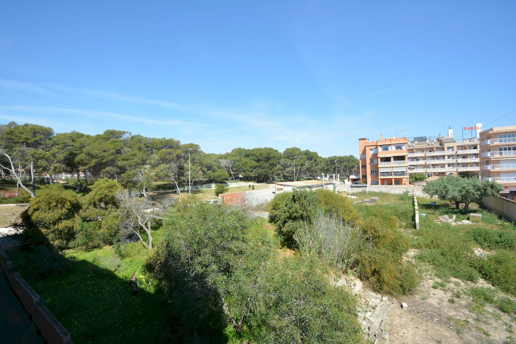 For sale - 3 Bedroom 2 Bathroom Apartment in Guardamar del Segura - Costa Blanca  - Alicante