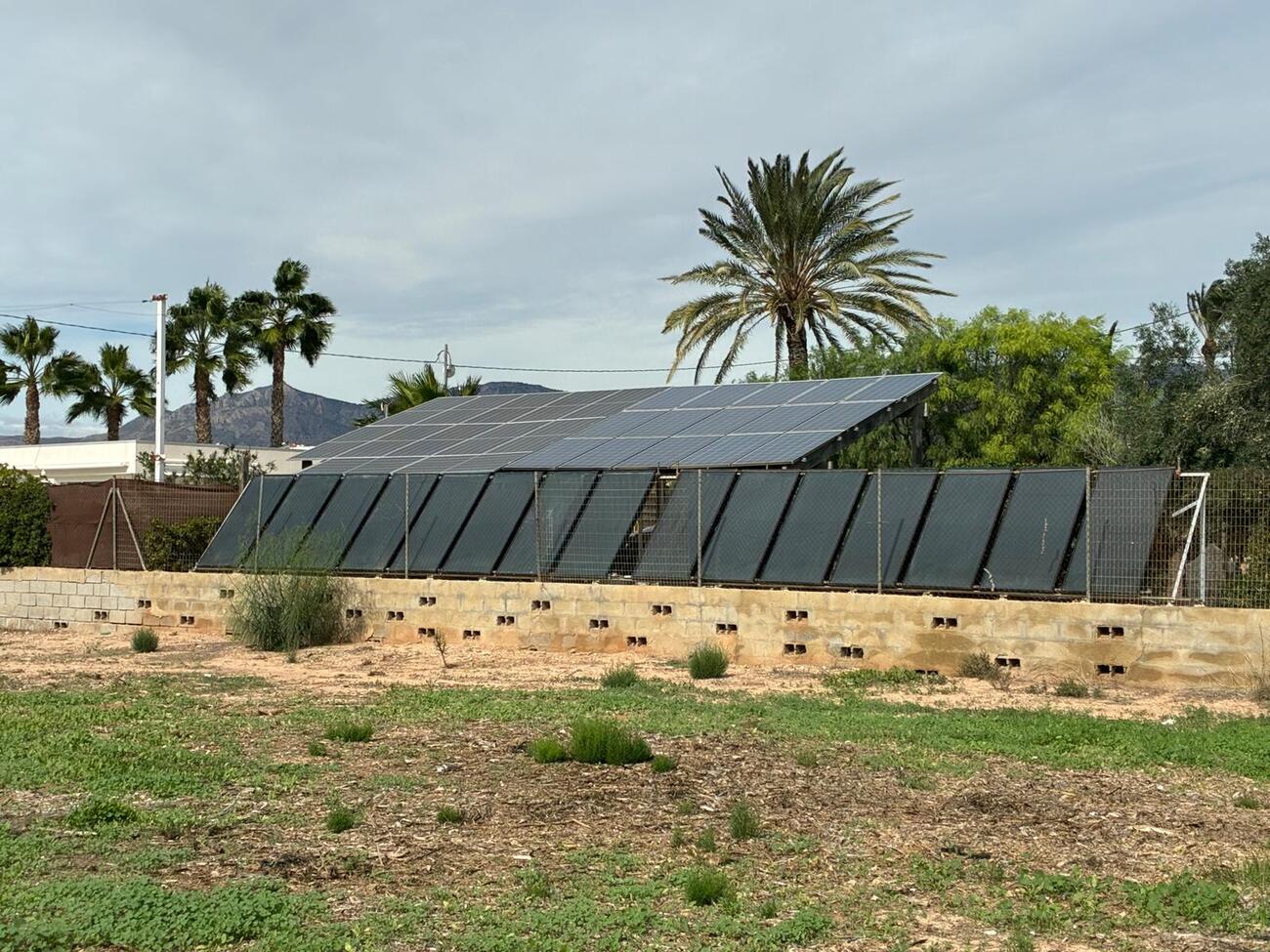 For sale - 5 Bedroom 2 Bathroom Villa in Crevillent - Costa Blanca  - Alicante