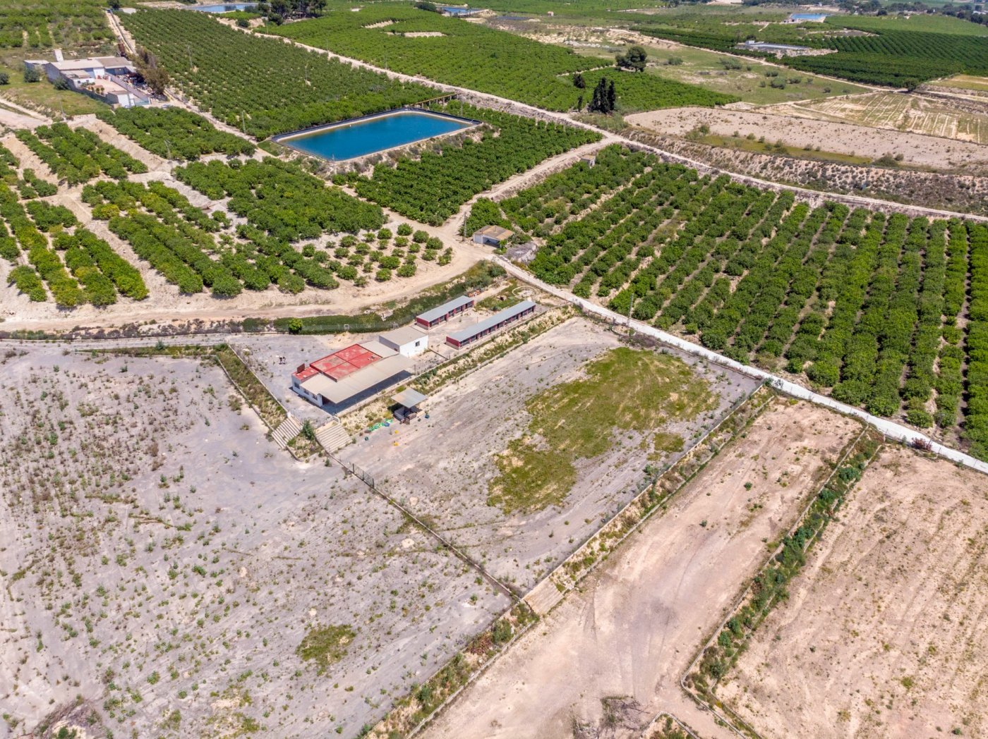 For sale - 2 Bedroom 2 Bathroom Finca in Los Montesinos - Los Montesinos  - Alicante