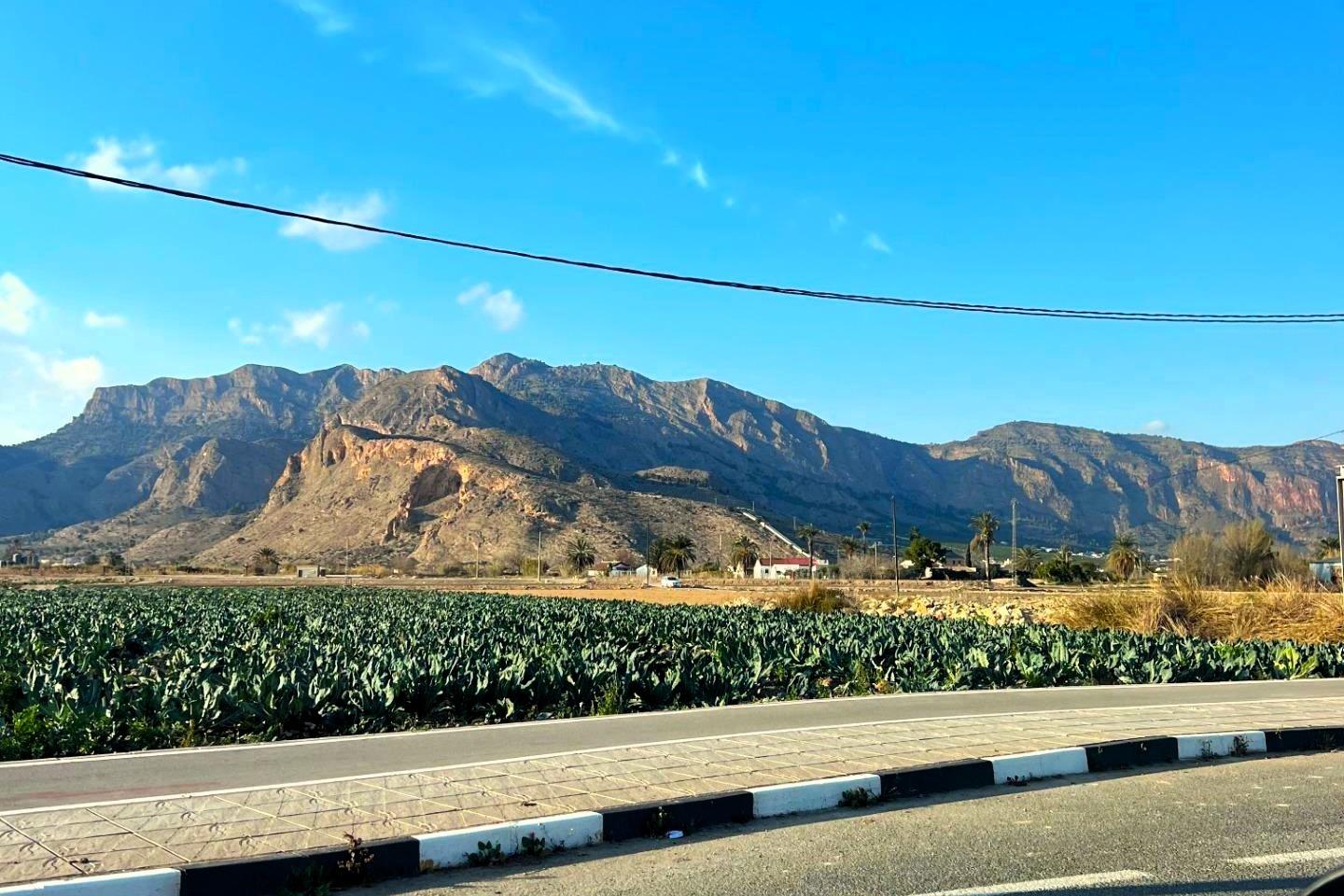 For sale - 5 Bedroom 3 Bathroom Villa in Orihuela - Desamparados-hurchillo-torremendo  - Alicante