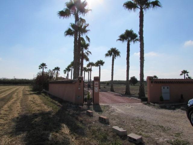 For sale - 3 Bedroom 2 Bathroom Finca in Dolores - Comunidad Valenciana  - Alicante