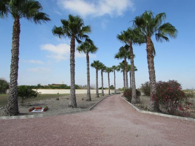 For sale - 3 Bedroom 2 Bathroom Finca in Dolores - Comunidad Valenciana  - Alicante