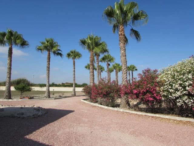 For sale - 3 Bedroom 2 Bathroom Finca in Dolores - Comunidad Valenciana  - Alicante