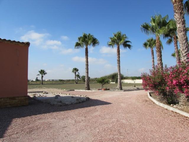 For sale - 3 Bedroom 2 Bathroom Finca in Dolores - Comunidad Valenciana  - Alicante