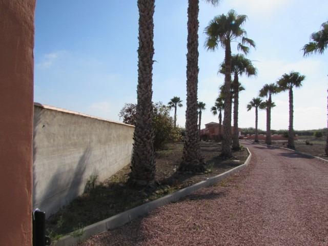 For sale - 3 Bedroom 2 Bathroom Finca in Dolores - Comunidad Valenciana  - Alicante