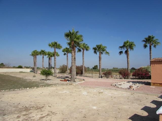 For sale - 3 Bedroom 2 Bathroom Finca in Dolores - Comunidad Valenciana  - Alicante