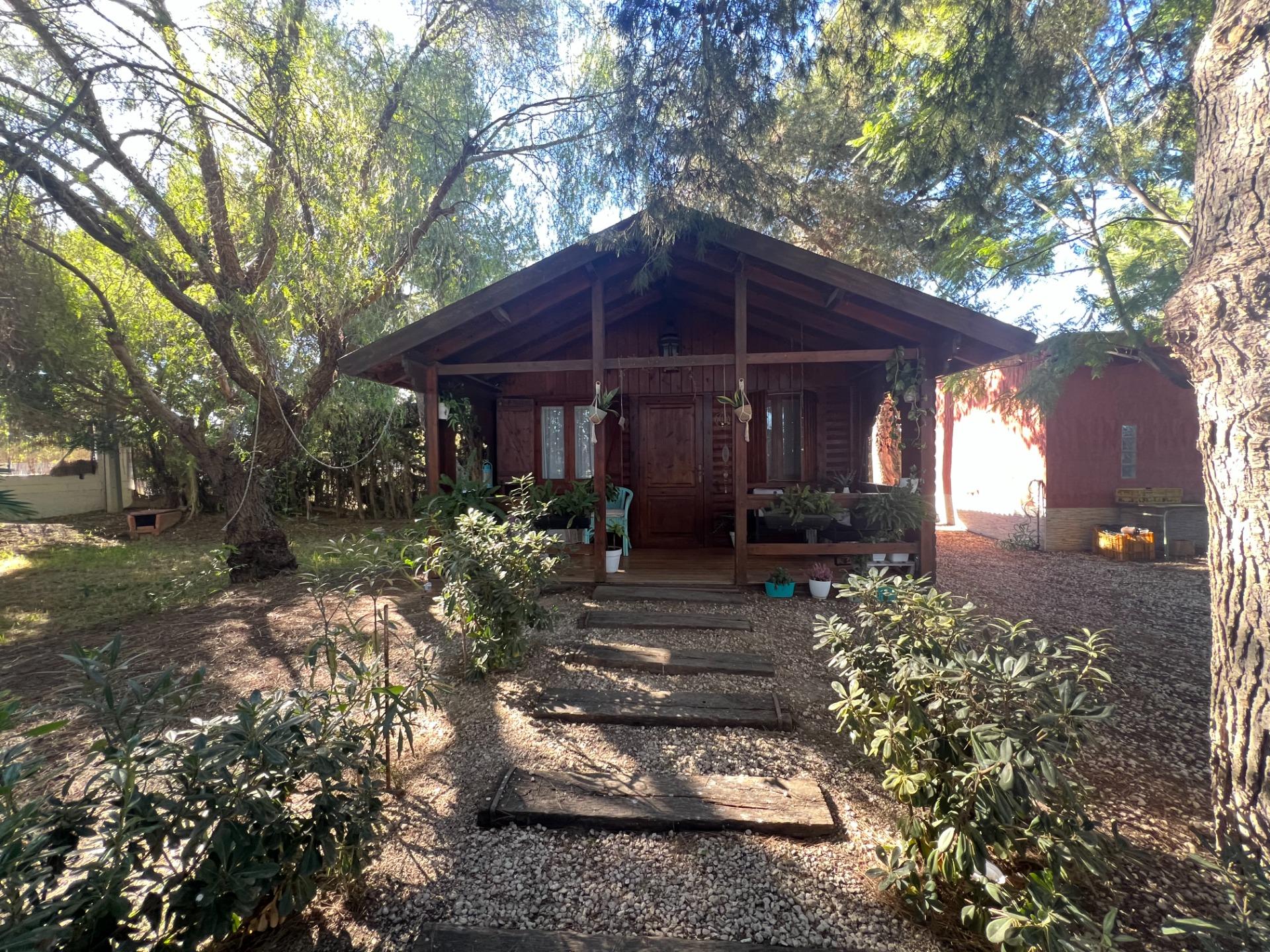 For sale - 4 Bedroom 3 Bathroom Finca in Dolores - Comunidad Valenciana  - Alicante
