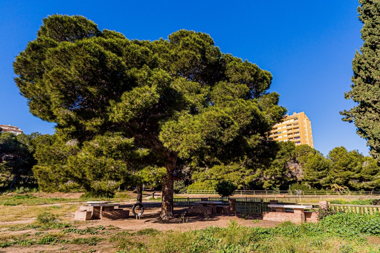 For sale - 4 Bedroom 2 Bathroom Duplex in Dehesa de Campoamor - Costa Blanca  - Alicante