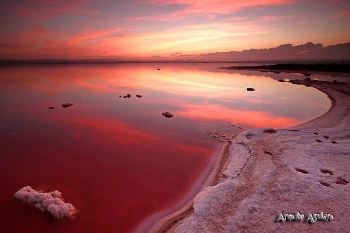 For sale - 2 Bedroom 2 Bathroom Duplex in Torrevieja - La Siesta  - Alicante