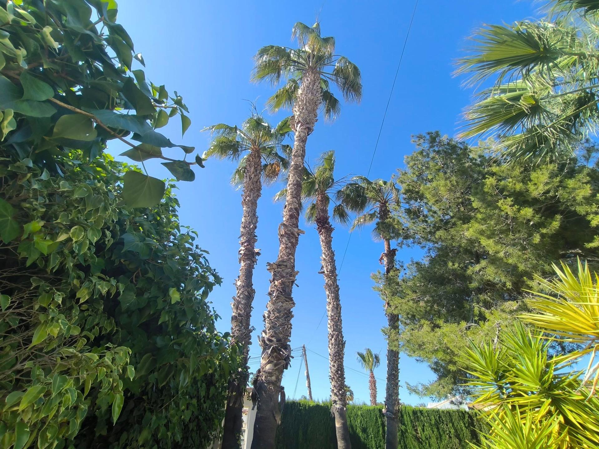 For sale - 5 Bedroom 2 Bathroom Villa in Torrevieja - La Siesta  - Alicante