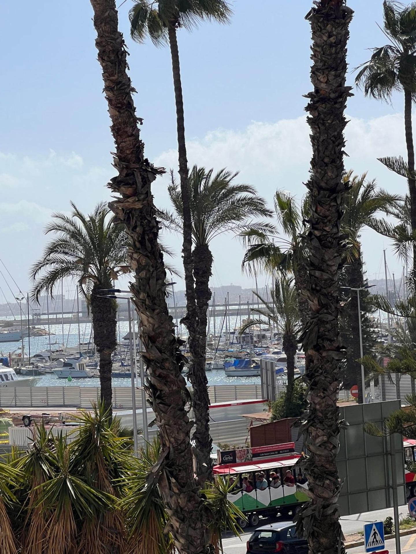 For sale - 3 Bedroom 2 Bathroom Apartment in Torrevieja - Torrevieja  - Alicante