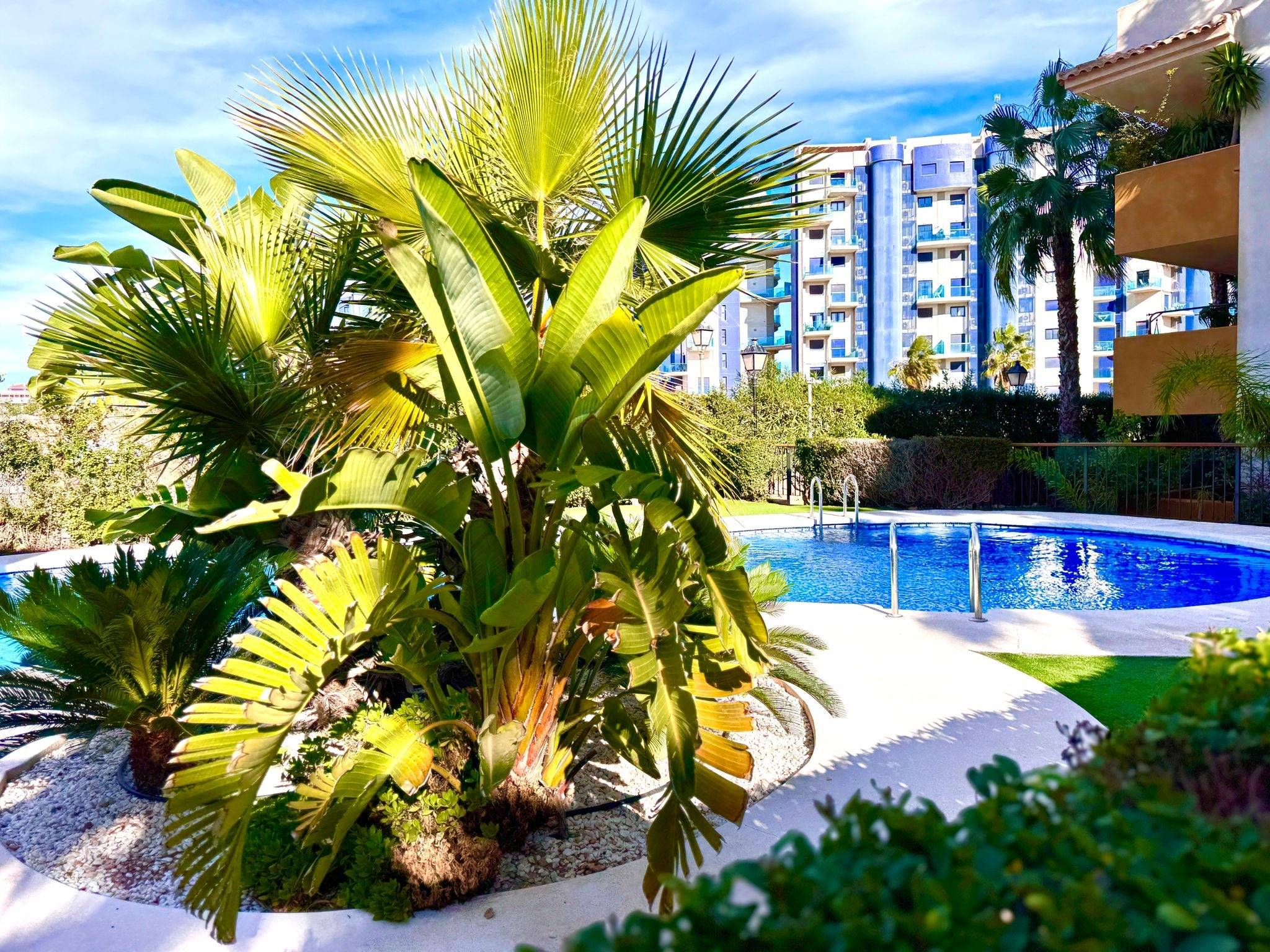 For sale - 2 Bedroom 1 Bathroom Apartment in Torrevieja - Punta Prima  - Alicante