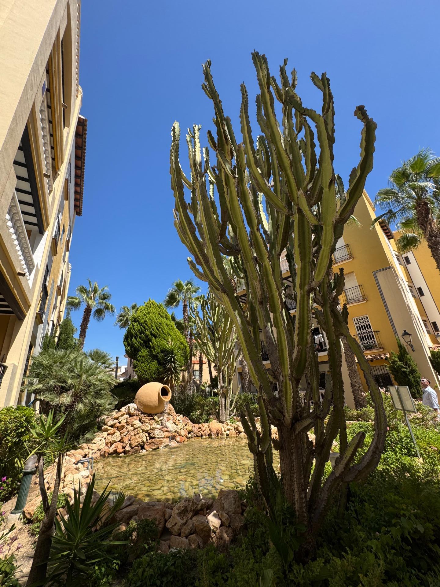 For sale - 3 Bedroom 2 Bathroom Penthouse in Torrevieja - Los Frutales  - Alicante