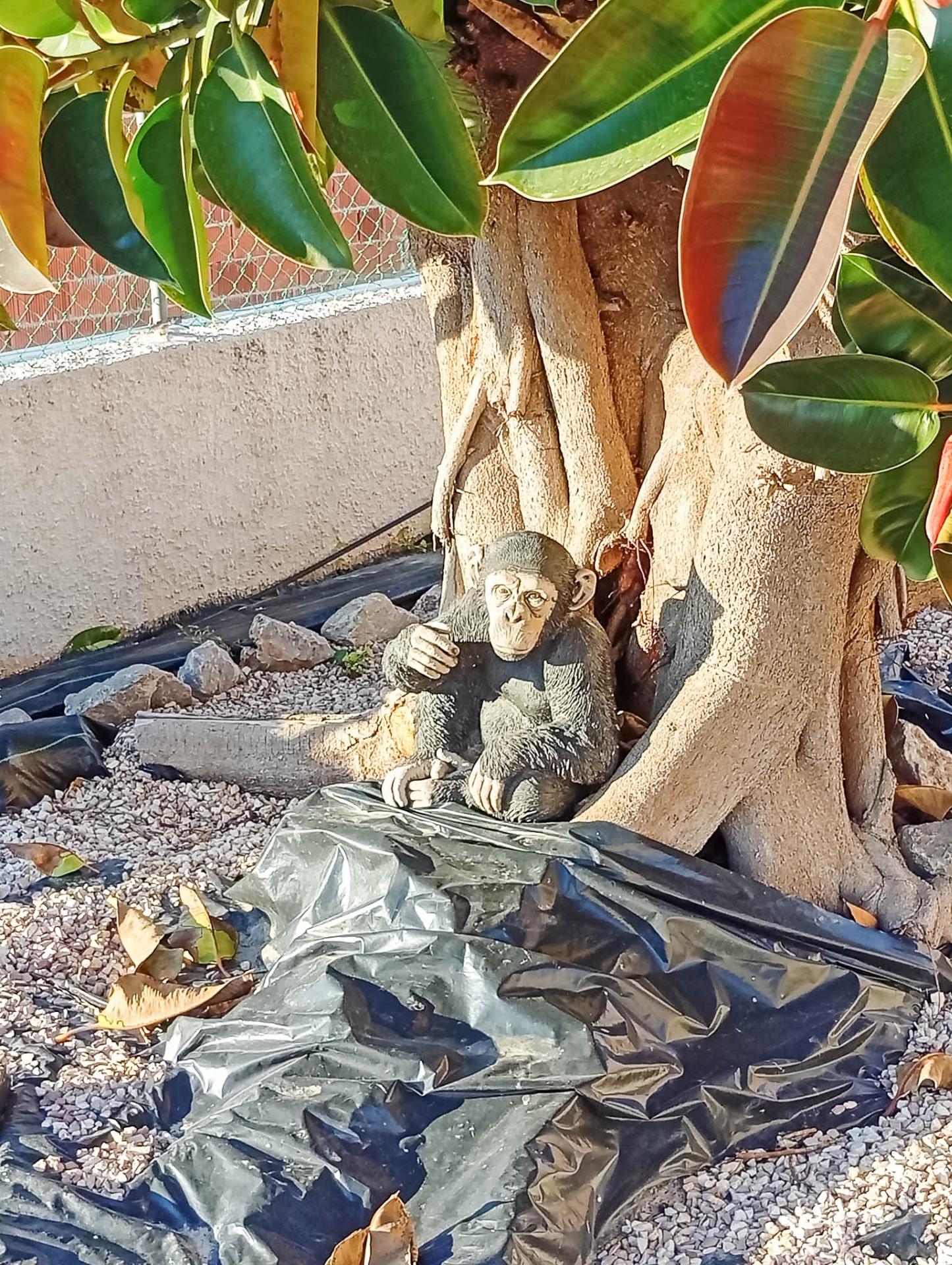 For sale - 4 Bedroom 2 Bathroom Villa in Torrevieja - La Siesta  - Alicante