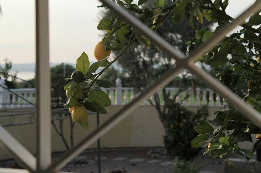 For sale - 6 Bedroom 5 Bathroom Villa in Torrevieja - La Siesta - El Salado - Torreta  - Alicante