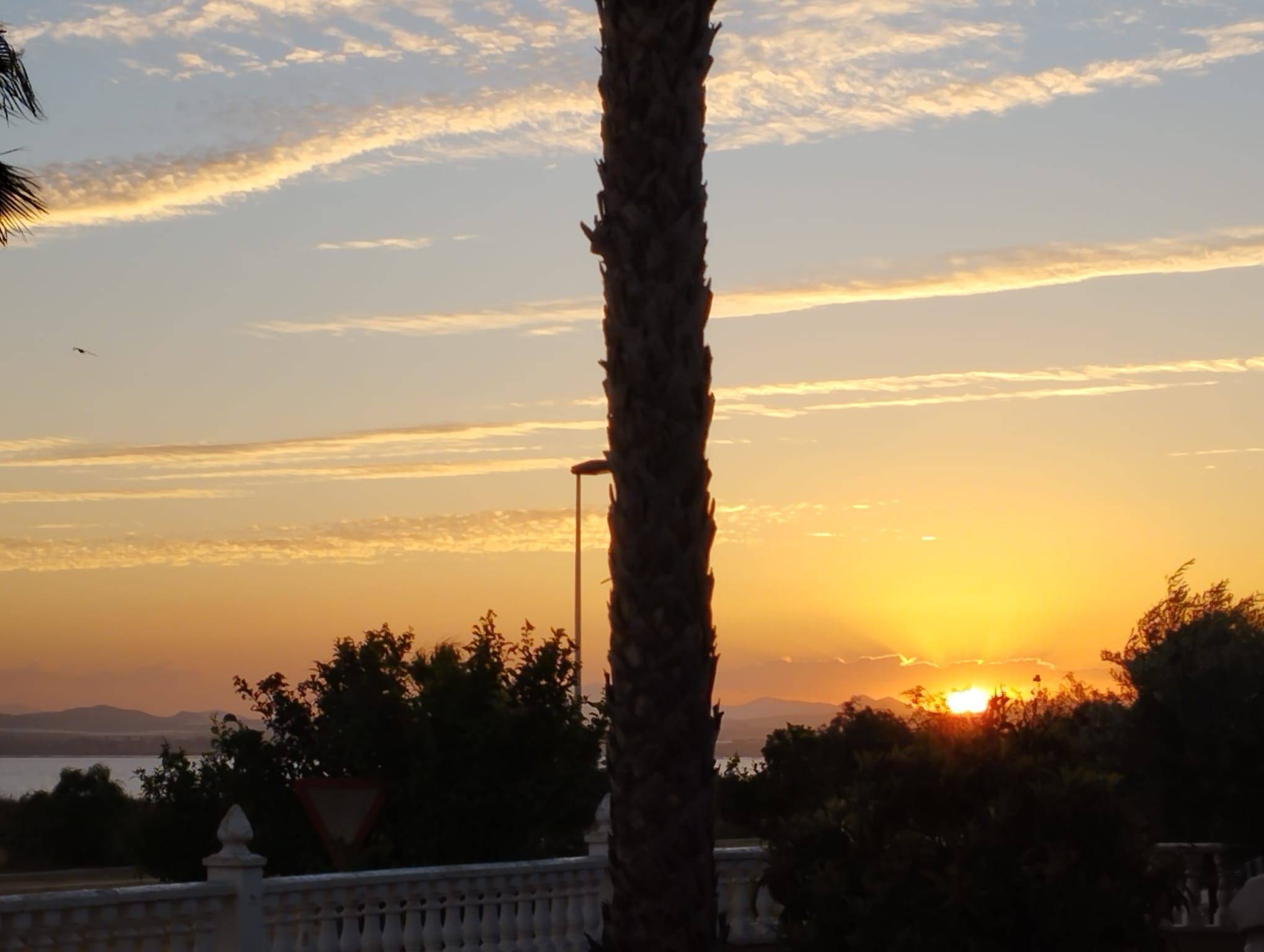 For sale - 6 Bedroom 5 Bathroom Villa in Torrevieja - La Siesta - El Salado - Torreta  - Alicante