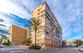 17-253425676689/77306, 1 Bedroom 1 Bathroom Apartment in La Mata