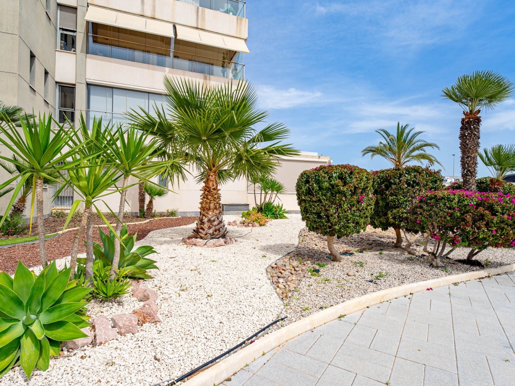 2 Bedroom 2 Bathroom Apartament in Los Dolses