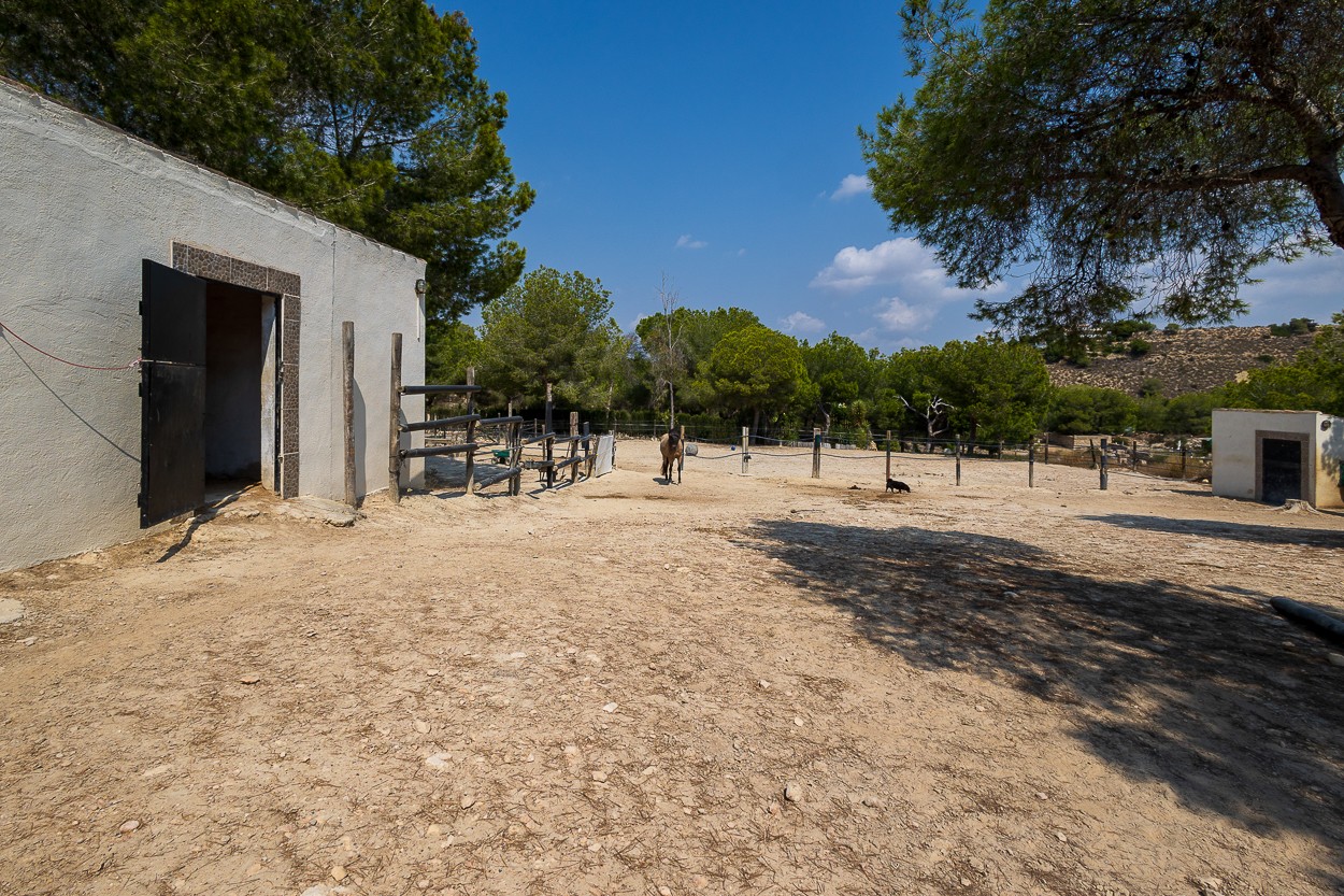 For sale - 4 Bedroom 2 Bathroom Country Property/Finca in Torremendo - Torremendo  - Alicante