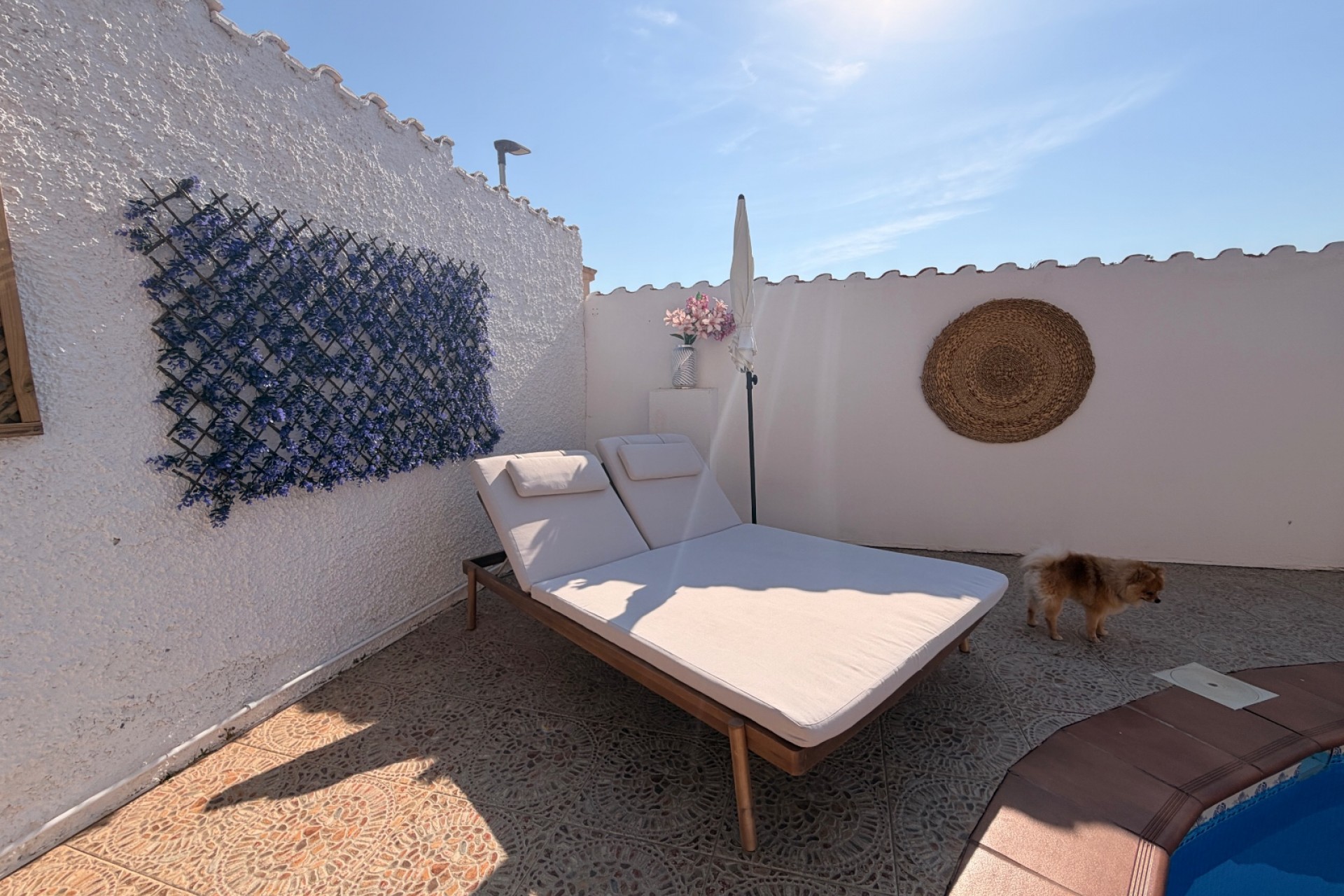 For sale - 3 Bedroom 1 Bathroom Villa Detached in Ciudad Quesada - Ciudad Quesada  - Alicante