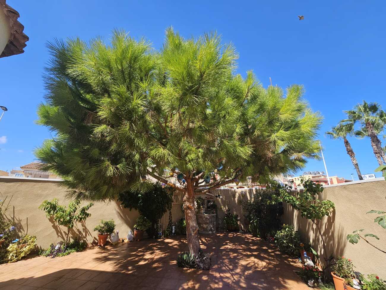 For sale - 3 Bedroom 2 Bathroom Villa in Torrevieja - Torre Del Moro  - Alicante