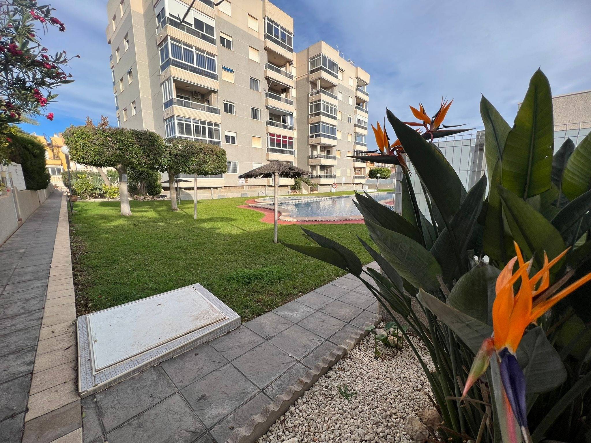 For sale - 2 Bedroom 1 Bathroom Apartment in Torrevieja - aguas nuevas  - Alicante