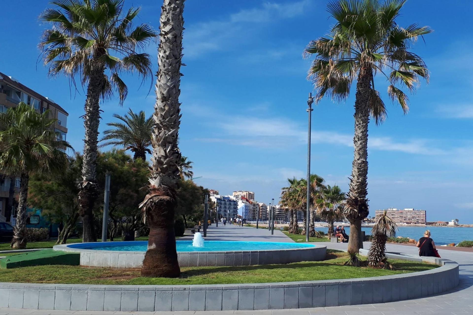 For sale - 2 Bedroom 1 Bathroom Apartment in Torrevieja - Curva Del Palangre  - Alicante