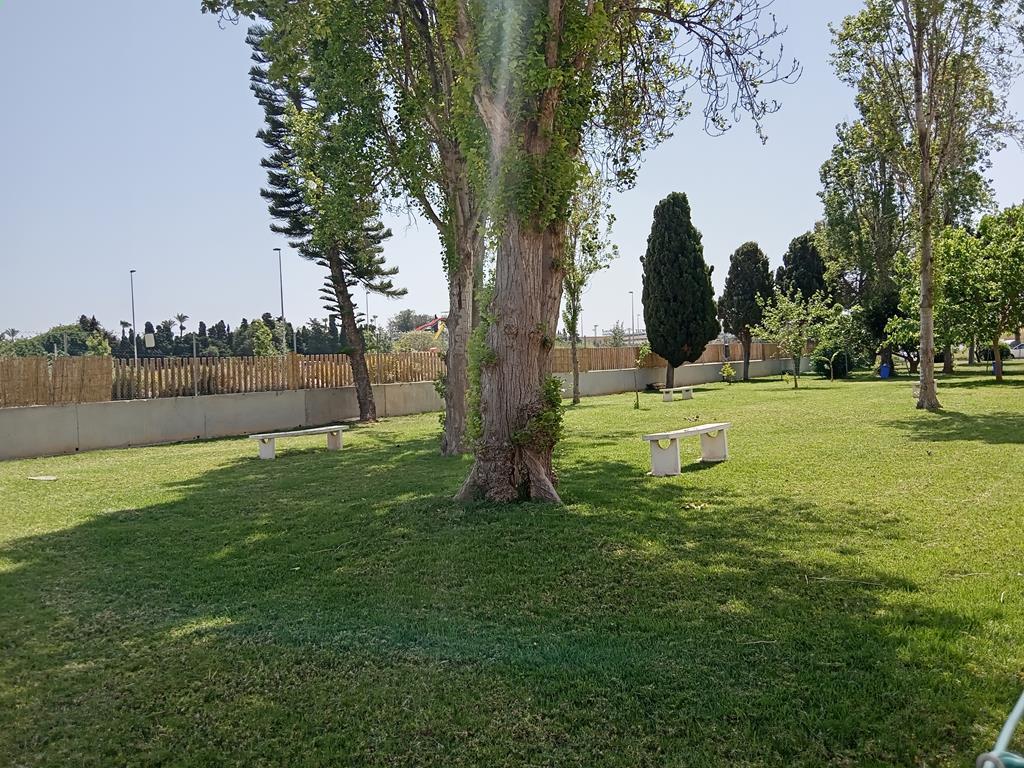 For sale - 3 Bedroom 1 Bathroom Duplex in Torrevieja - Carrefour  - Alicante