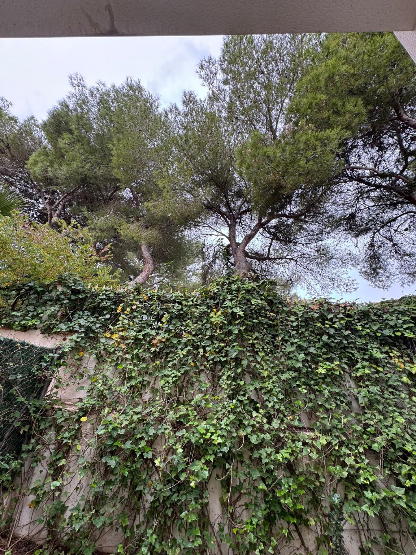 For sale - 3 Bedroom 3 Bathroom Town House in Torrevieja - Punta Prima  - Alicante
