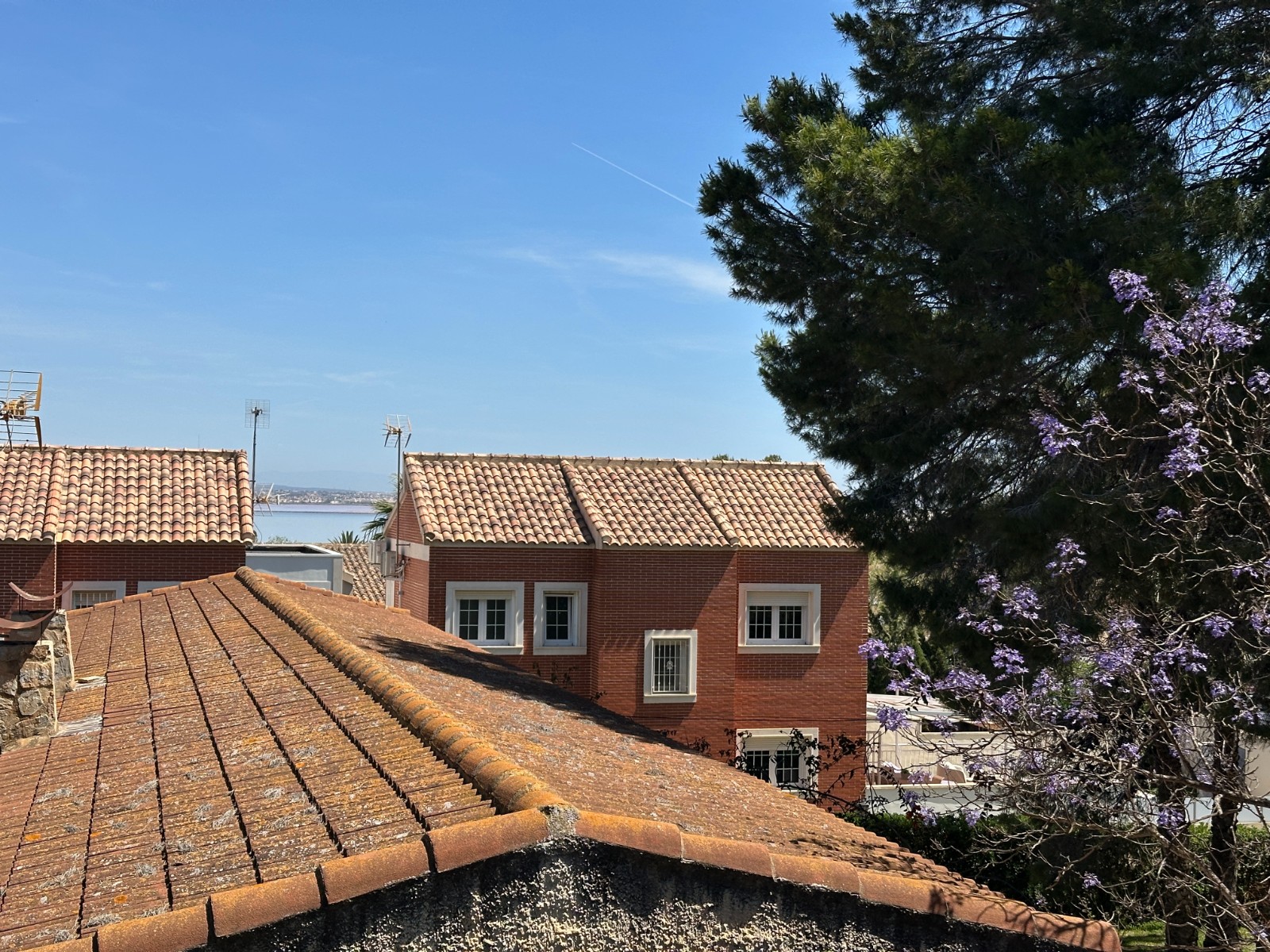 For sale - 8 Bedroom 4 Bathroom Villa in Torrevieja - Costa Blanca  - Alicante