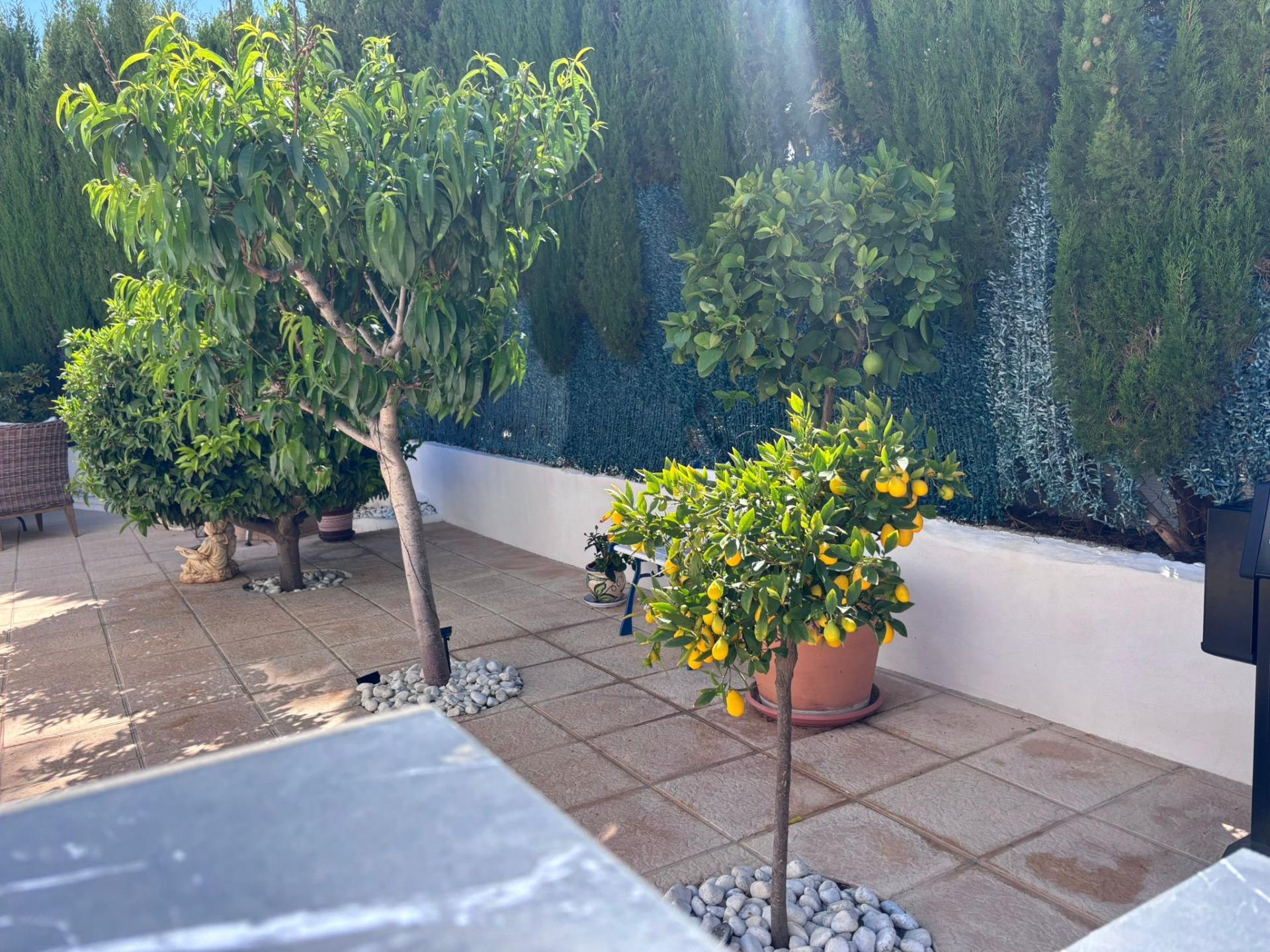 For sale - 2 Bedroom 2 Bathroom Semi Detached in Torrevieja - Los Balcones  - Alicante