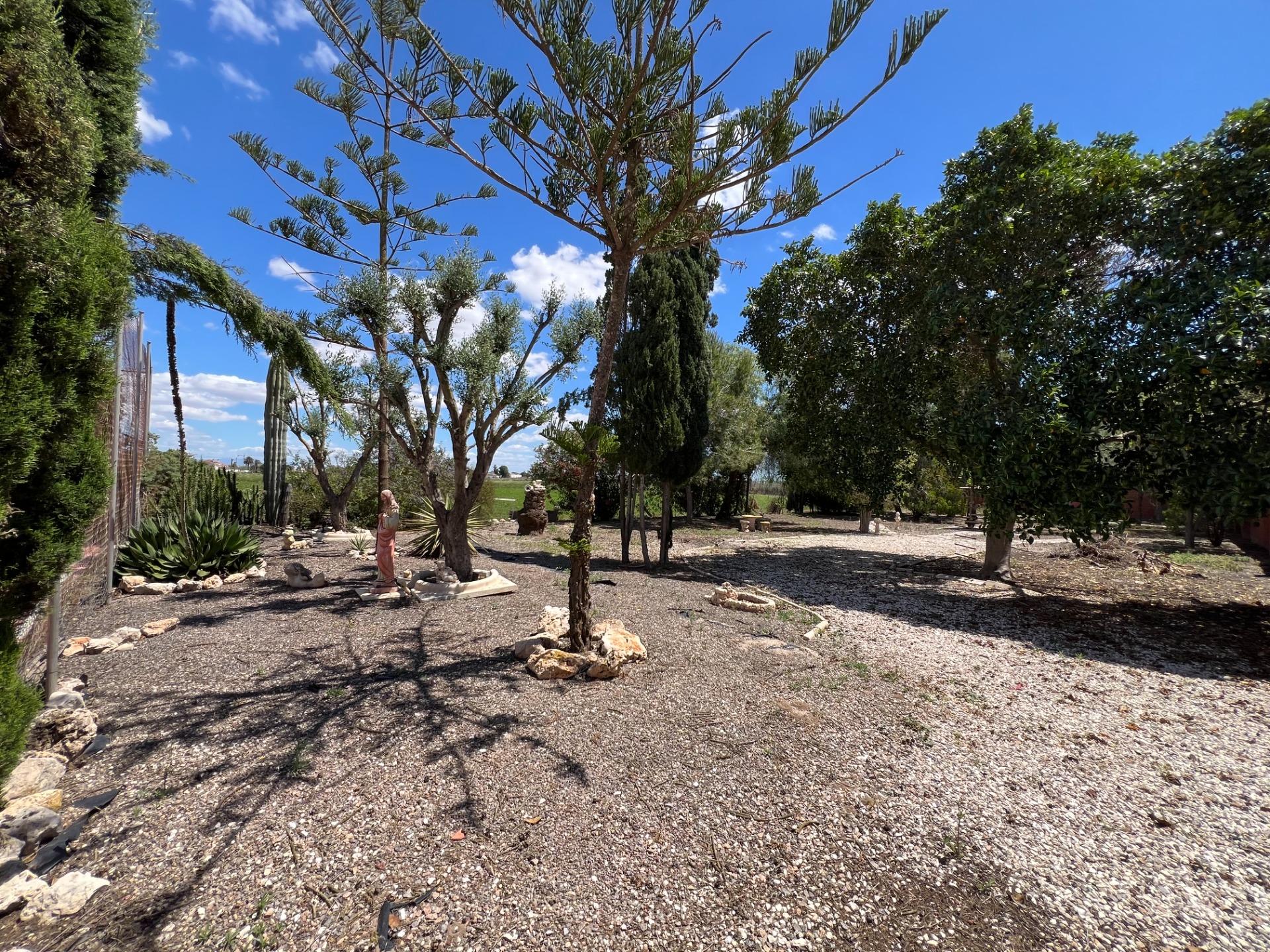 For sale - 4 Bedroom 1 Bathroom Finca in Dolores - Comunidad Valenciana  - Alicante