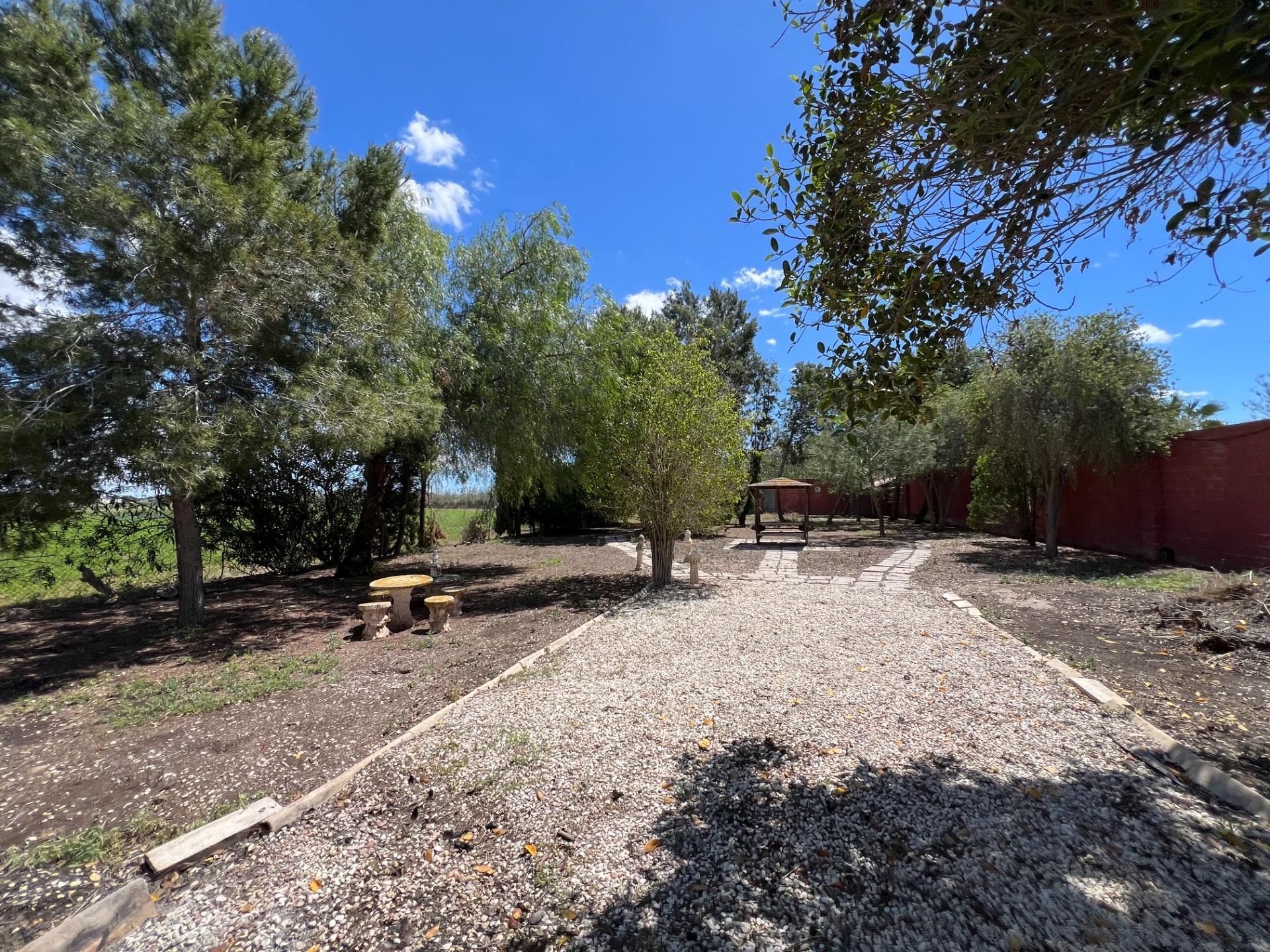 For sale - 4 Bedroom 1 Bathroom Finca in Dolores - Comunidad Valenciana  - Alicante