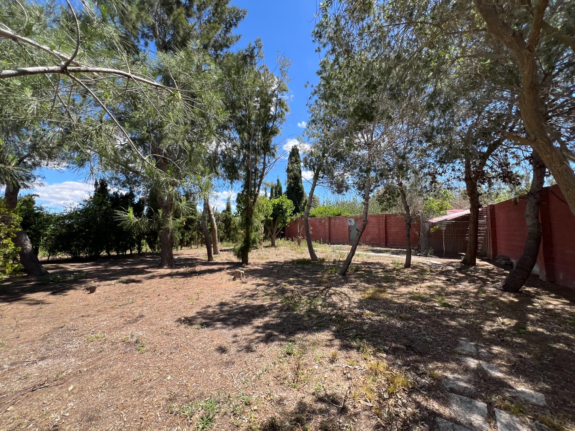 For sale - 4 Bedroom 1 Bathroom Finca in Dolores - Comunidad Valenciana  - Alicante