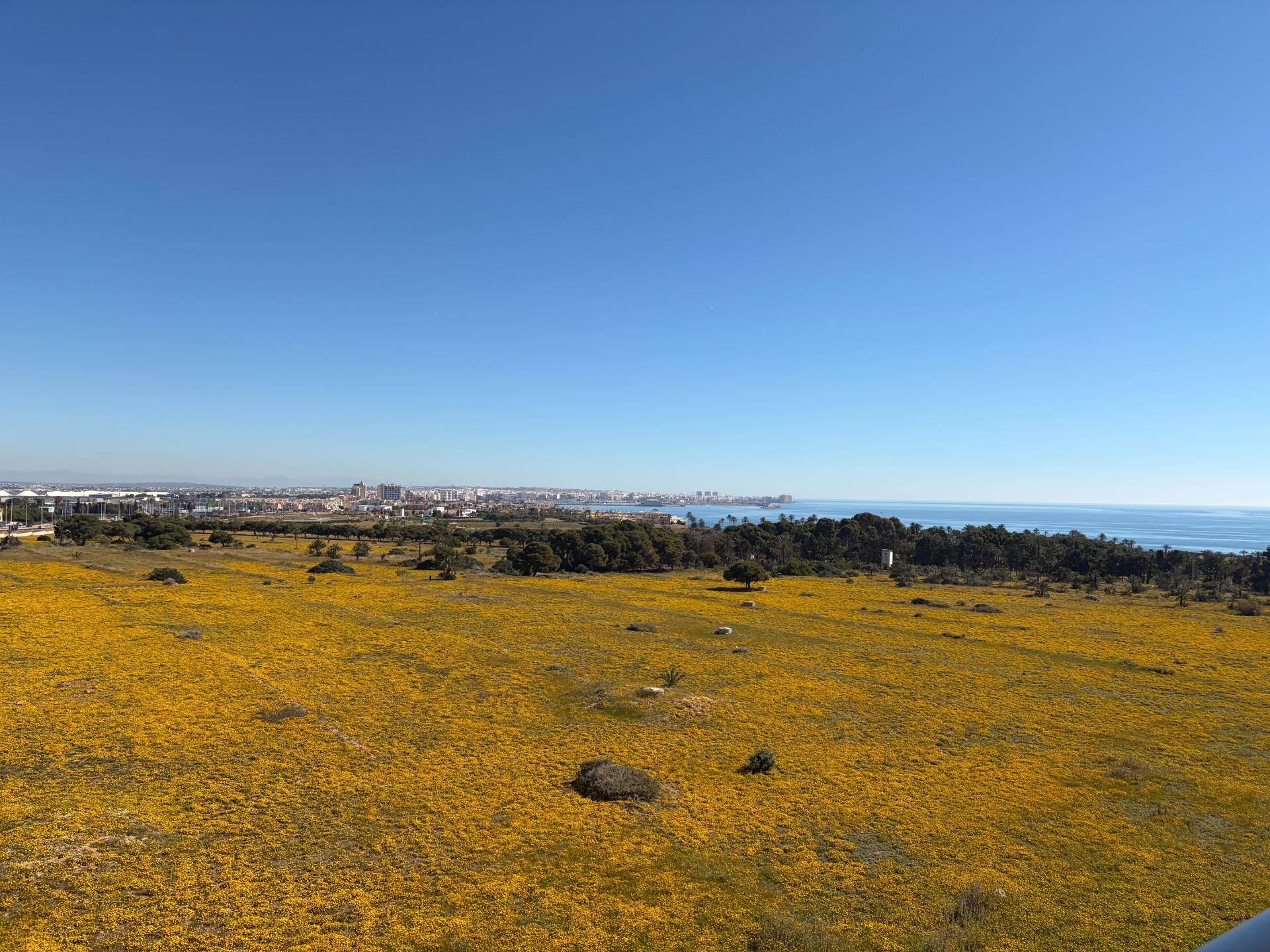 For sale - 2 Bedroom 1 Bathroom Penthouse in Torrevieja - Punta Prima  - Alicante