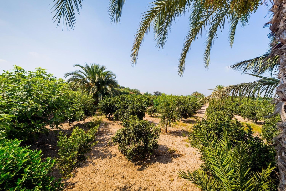 For sale - 5 Bedroom 5 Bathroom House - Finca - Cortijo in Almoradi - Almoradi Centro  - Alicante