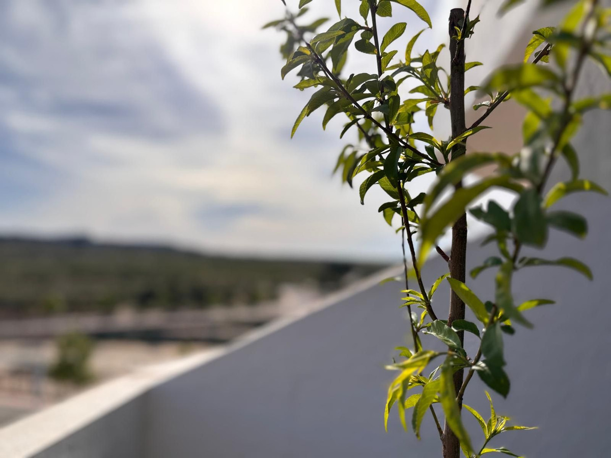 For sale - 2 Bedroom 2 Bathroom Apartment - Middle Floor Apartment in San Miguel de Salinas - San Miguel de Salinas Centro  - Alicante