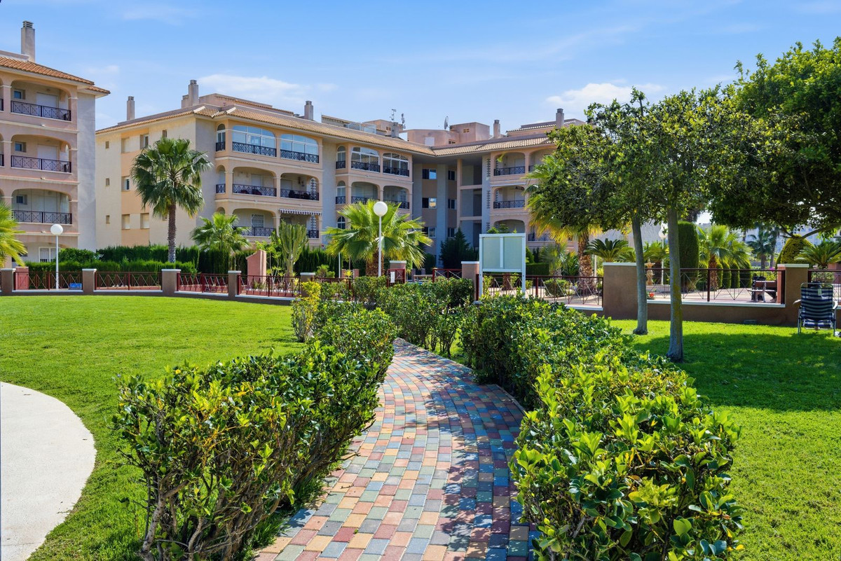 For sale - 2 Bedroom 2 Bathroom Ground Floor Apartment in Playa Flamenca  - Playa Flamenca  - Alicante