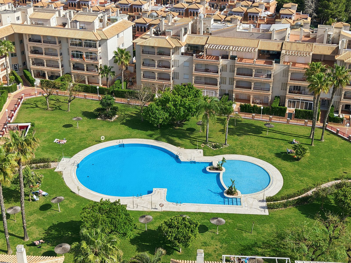For sale - 2 Bedroom 2 Bathroom Ground Floor Apartment in Playa Flamenca  - Playa Flamenca  - Alicante