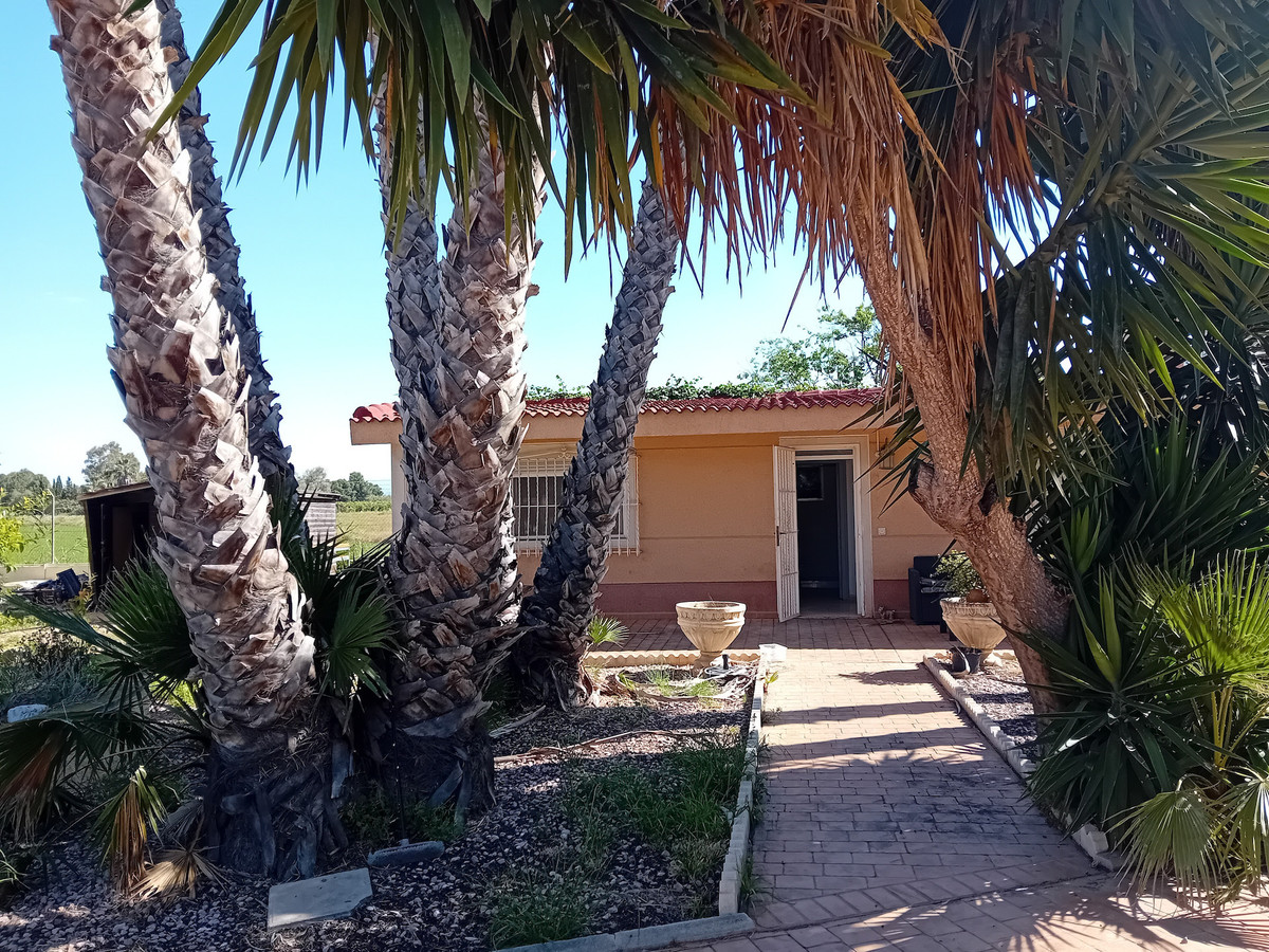 For sale - 4 Bedroom 2 Bathroom House - Detached Villa in Dolores - Dolores Centro  - Alicante