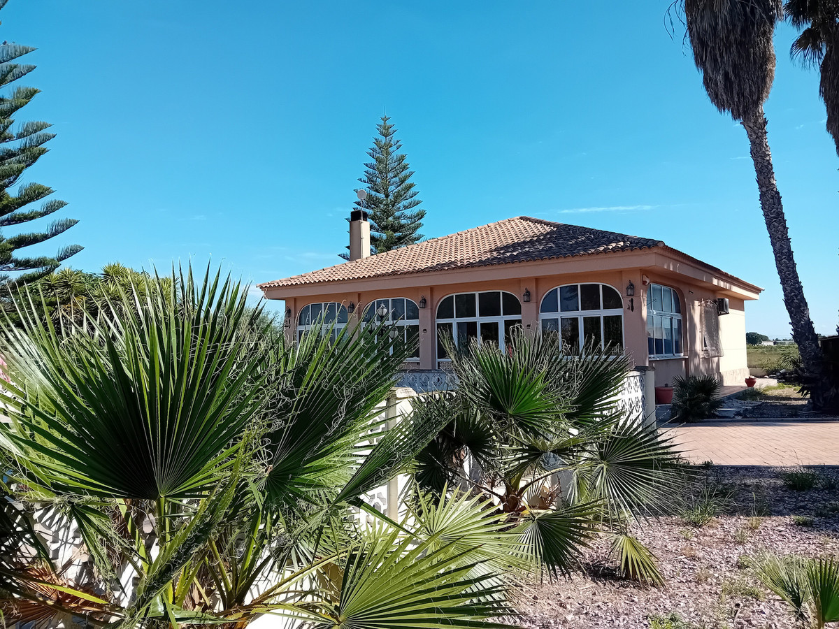 For sale - 4 Bedroom 2 Bathroom House - Detached Villa in Dolores - Dolores Centro  - Alicante