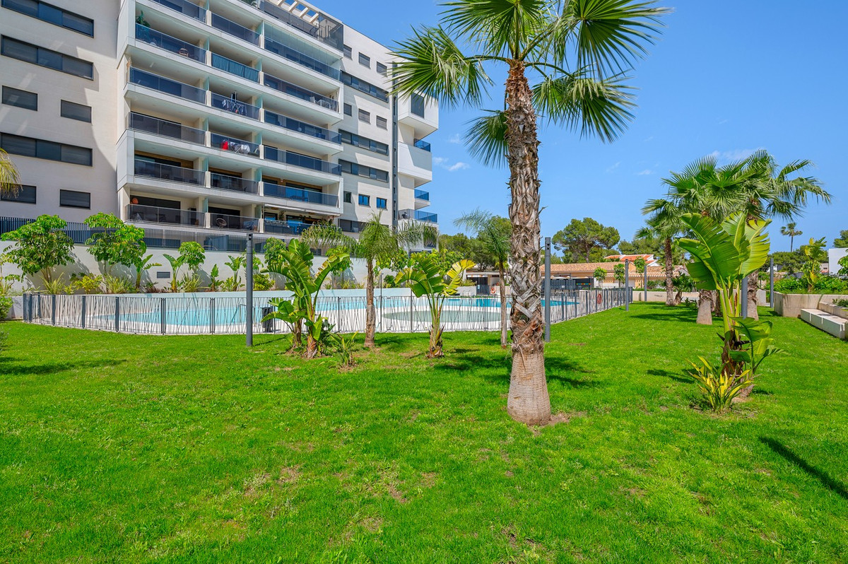 For sale - 3 Bedroom 2 Bathroom Apartment - Ground Floor Apartment in Orihuela - Dehesa de Campoamor  - Alicante